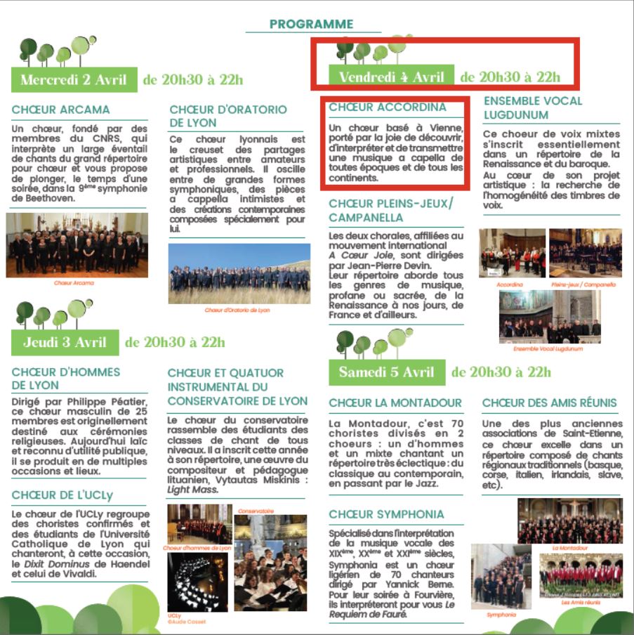 Flyer Accordina