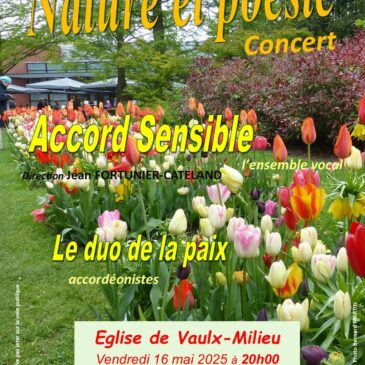 ACCORD SENSIBLE concert vendredi 16 mai à 20 h à l’église de Vaulx-Milieu