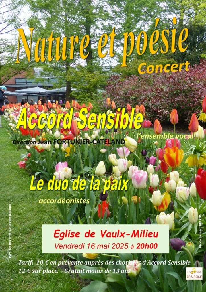 affiche concert Accord Sensible